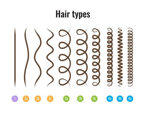 Hair Care Basics What Is Your Hair Type Your Brand Of Beauty