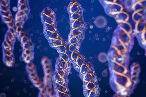 Сообщение геном человека Проект человеческого генома и его роль в