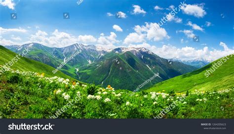 Amazing Mountain Landscape In Georgia On Sunny Summer Day Alpine Green