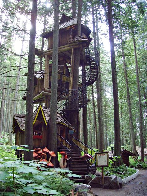Most Amazing Tree Houses The 2nd Tallest Treehouse In British