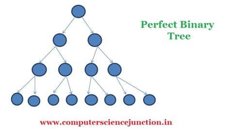 Types Of Binary Tree Binary Tree Tutorial
