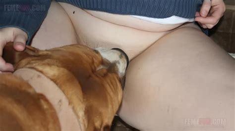 Dog Licks Moms Sweet Xxx Pussy Before Shoving Hard Penis