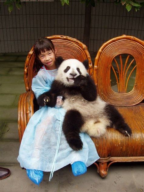 Jennys Panda Hug Experience Panda Hug Panda Hug