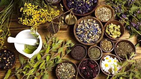 The world health organization (who) defines traditional medicine as—. Why traditional medicine use remains significant across ...