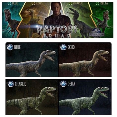 A Photo Collage Of Raptor Squad From Jurassic World Blue Echo Charlie Delta Also Chris Prat