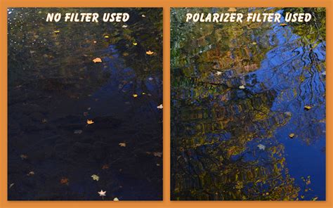 What Is A Circular Polarizer Filter Why Do I Need One