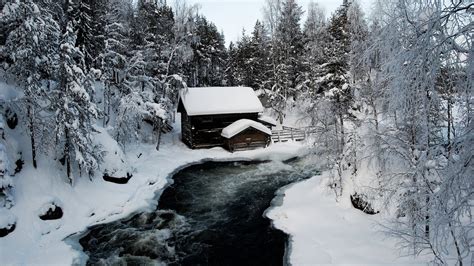 Trees Nature Snow Winter Ice River Cabin Freezing Tree Weather