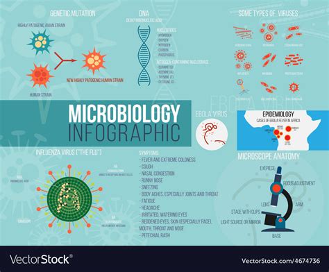 Microbiology Infographic Set With Different Vector Image