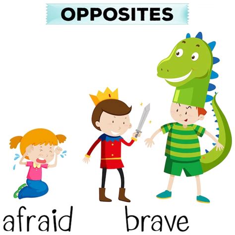 Opposite Words For Afraid And Brave Vector Free Download