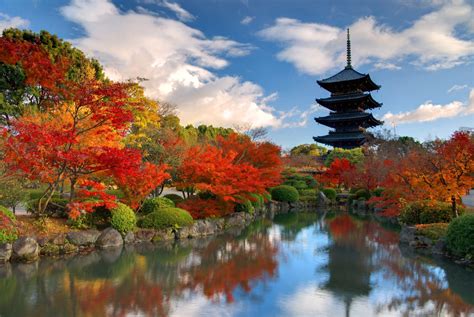 Kyoto And Nara Tour From Osaka Tourist Journey