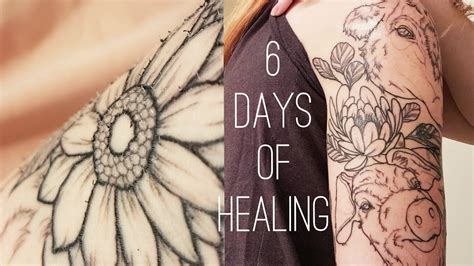 Share 74 Stages Of A Healing Tattoo Best Ineteachers