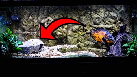 The Ultimate Fish Cave Youtube