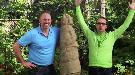 Maybe you would like to learn more about one of these? How To Protect And Wrap Your Trees For Winter - YouTube