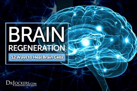 Brain Regeneration 12 Ways To Heal Brain Cells Internationally