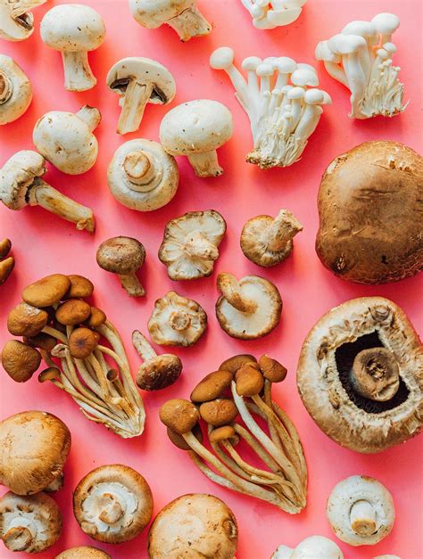 Common Types Of Mushrooms And How To Use Them Live Eat Learn