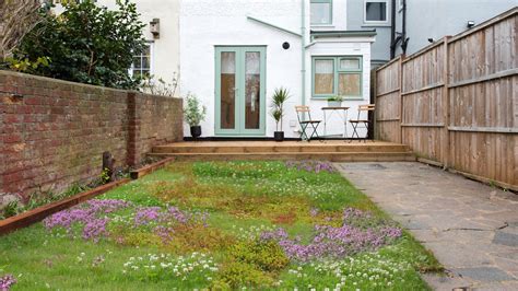 Tapestry Lawns Why You Need This Low Maintenance Grass Alternative