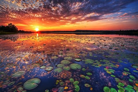 Sunset Pond Pic Pics