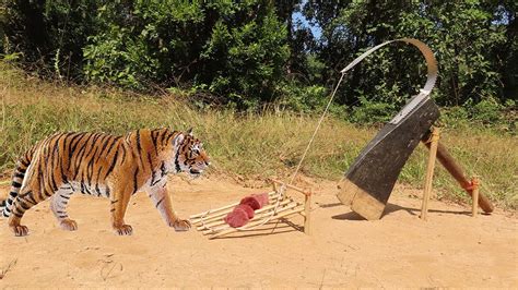 Creative Technology Easy Quick Tiger Trap Make From Big An Axe And