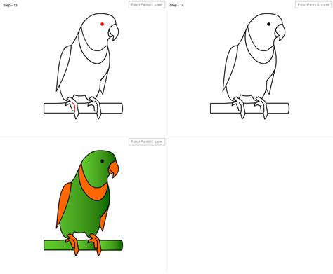 How To Draw A Parrot Step By Step Easy Drawing Guides Drawing Howtos