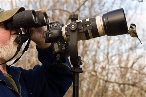 Best Starter Camera For Wildlife Photography