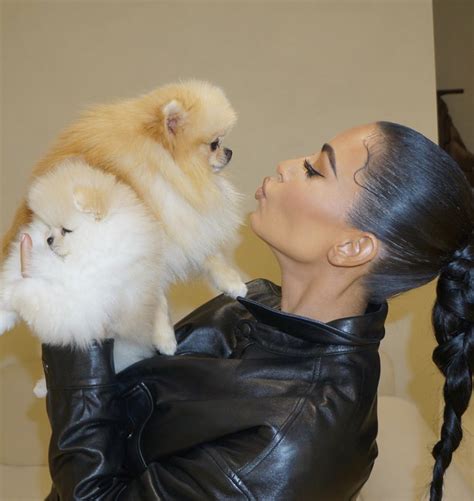 Kim Kardashian West Images With Puppy Live Cinema News