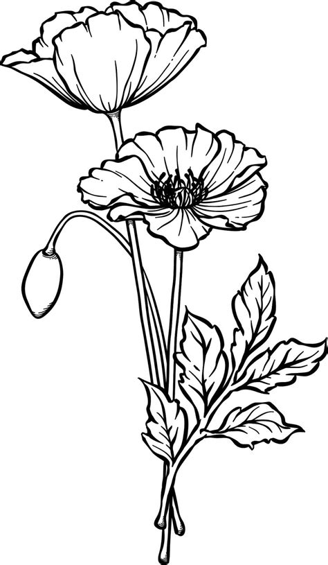 A Black And White Drawing Of Two Flowers With Leaves On The Stem One