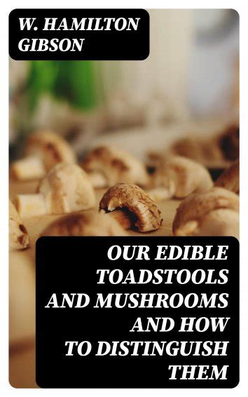 W Hamilton Gibson Our Edible Toadstools And Mushrooms And How To