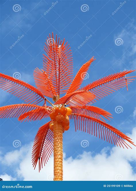 Orange Palm Tree Stock Photos Royalty Free Images