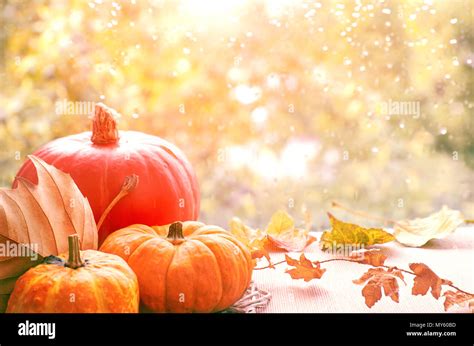 Autumn Background With Pumpkins And Dry Leaves On A Window Board On A