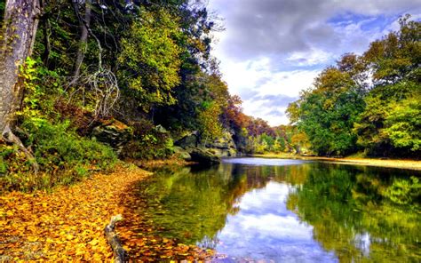 Landscape Autumn Mountain River Mirna Deciduous Forest In Autumn Colors Yellow Fallen Leaves