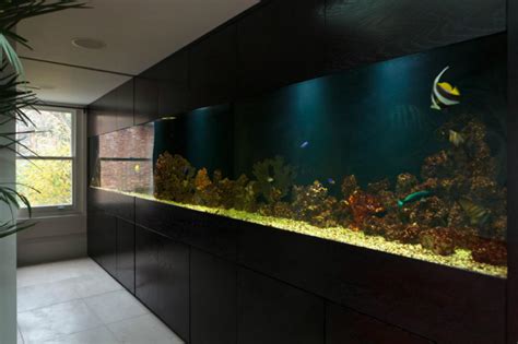 Amazing Built In Aquariums In Interior Design