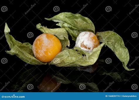 Fresh Orange Physalis Isolated On Black Glass Stock Photo Image Of