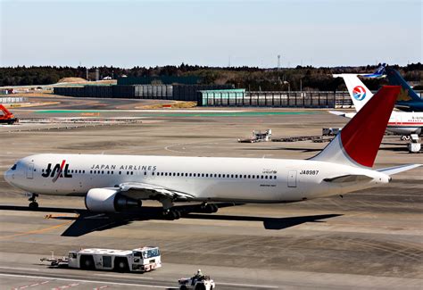 Jal Boeing 767 300 At Tokyo On Feb 21st 2016 Bird Strike Aeroinside