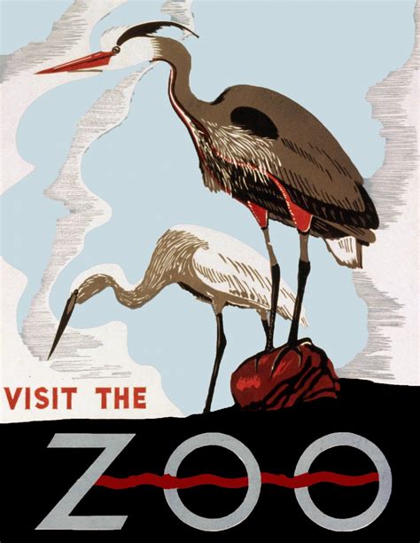 Visit The Zoo Poster 4 Free Stock Photo Public Domain Pictures