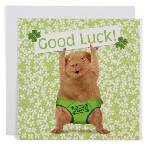 Funny good luck in life wishes are humorous and are sent to bring g a smile on the face of the receiver. Good luck card | Good luck cards, Good luck quotes, Good ...