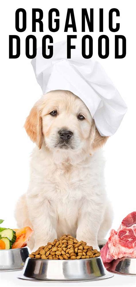 Dog Feeding Guide Brands Schedules And Amounts For Every Pup