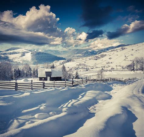 Sunny Winter Morning In The Snowy Mountains Stock Photo Image Of