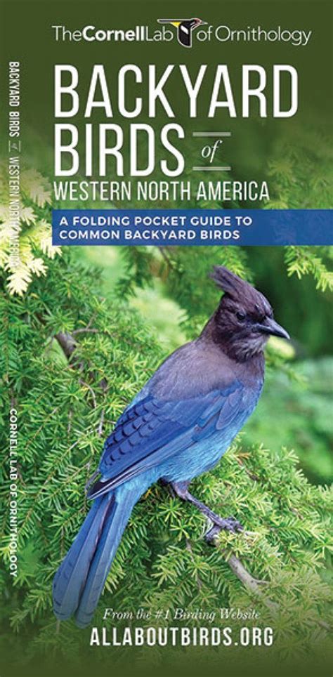 Backyard Birds Of Western North America A Folding Pocket Guide To