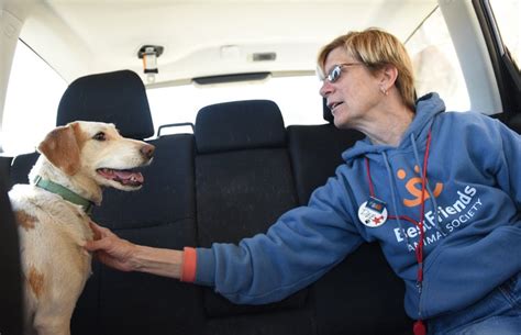 Volunteer Relocates To Kanab Utah Best Friends Animal Society