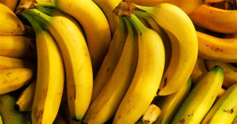 Iowa researches to pay students to eat GMO bananas