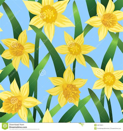 Seamless Background With Daffodils Stock Vector Illustration Of