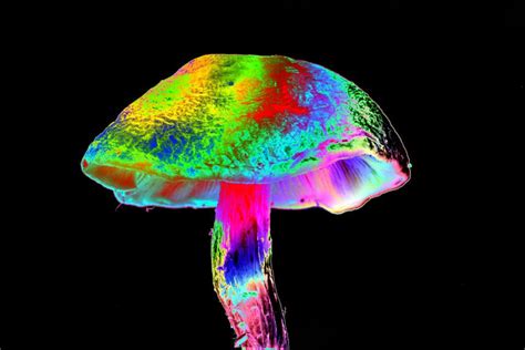 Psychedelic Drugs Are Moving From The Fringes Of Medicine To The