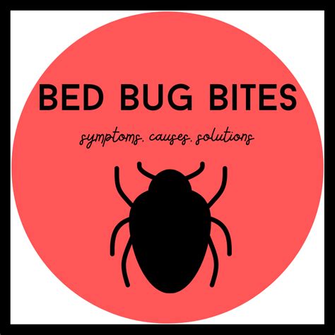 Bed Bug Bites Pictures Symptoms Causes Treatment Youmemindbody