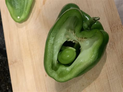 my green pepper was pregnant r 2healthbars