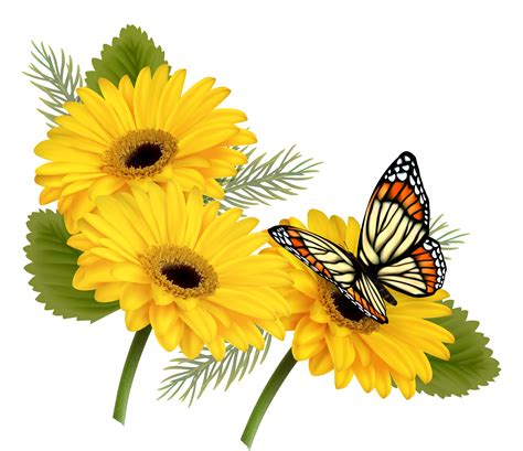 Yellow Gerberas With Butterfly Png Clipart Gallery Yopriceville