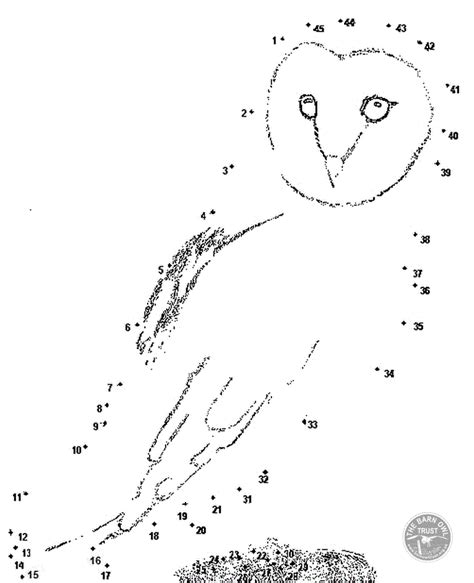 Number dot to dot printables (or connect the dots worksheets) are a fun way for kids to learn their numbers and number order. Dot-to-dot Barn Owl Puzzle - The Barn Owl Trust