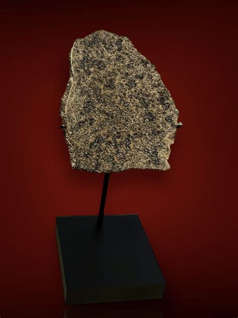 Martian Meteorite Slice Shergottite 235 Grams Fossil Realm