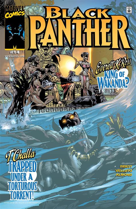 Black Panther Vol 3 14 Marvel Database Fandom Powered By Wikia