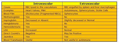 Intravascular Versus Extravascular Hemolysis Usmle Forums