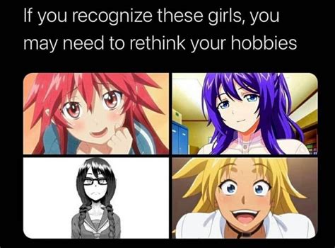 Dont Lie You Know At Least One Of These Girls Anime Memes Anime Funny Anime Memes Funny